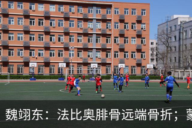 魏翊东：法比奥腓骨远端骨折；蒙哥马利合同不止一年